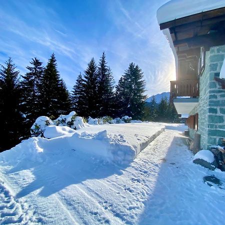 Chalet Wulli In Der Naehe Der Skianlagen サヴォニン エクステリア 写真