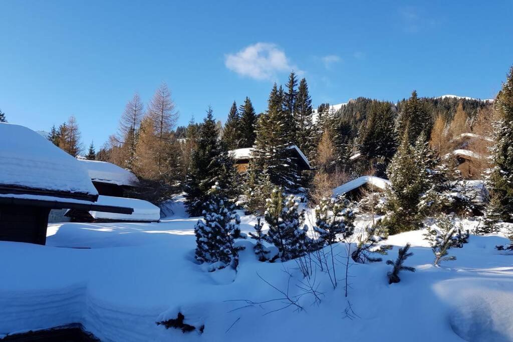 Chalet Wulli In Der Naehe Der Skianlagen サヴォニン エクステリア 写真