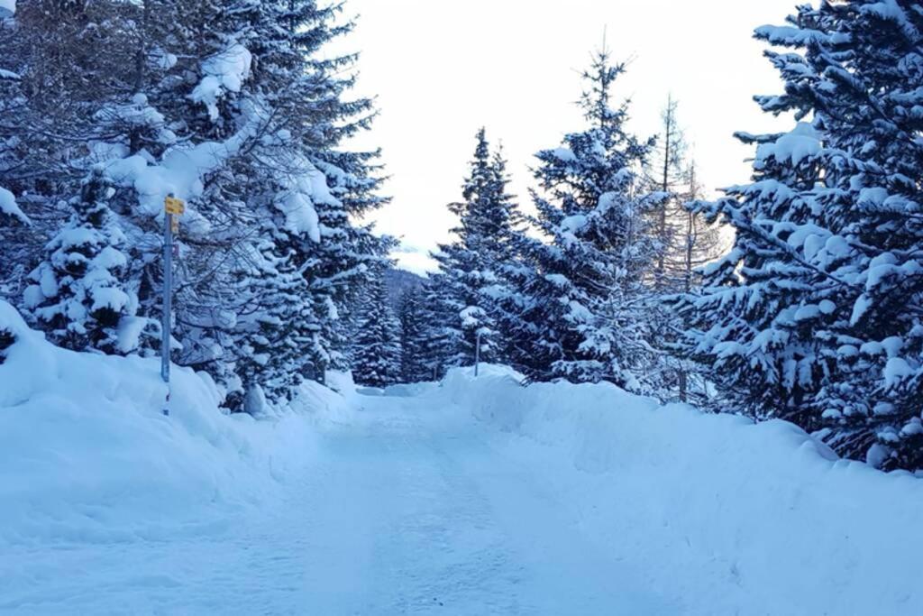 Chalet Wulli In Der Naehe Der Skianlagen サヴォニン エクステリア 写真