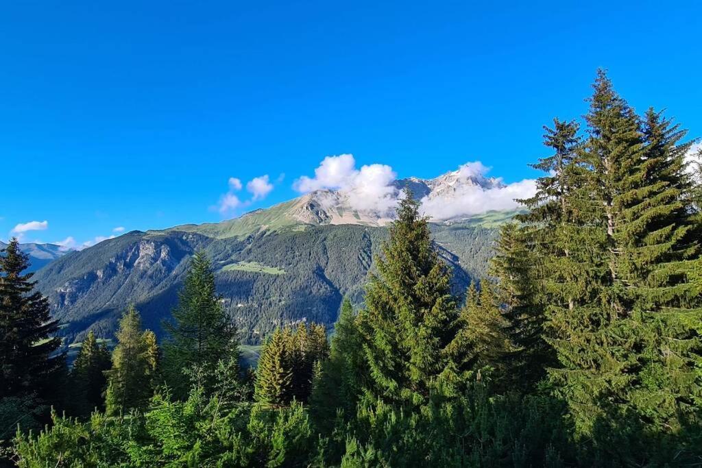Chalet Wulli In Der Naehe Der Skianlagen サヴォニン エクステリア 写真
