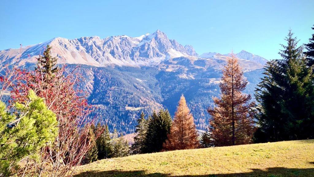 Chalet Wulli In Der Naehe Der Skianlagen サヴォニン エクステリア 写真