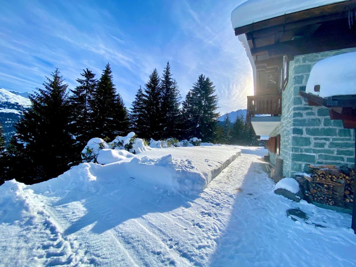 Chalet Wulli In Der Naehe Der Skianlagen サヴォニン エクステリア 写真