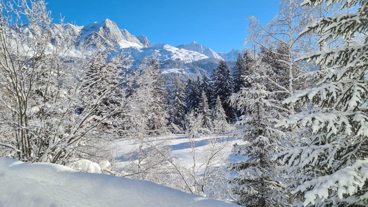 Chalet Wulli In Der Naehe Der Skianlagen サヴォニン エクステリア 写真