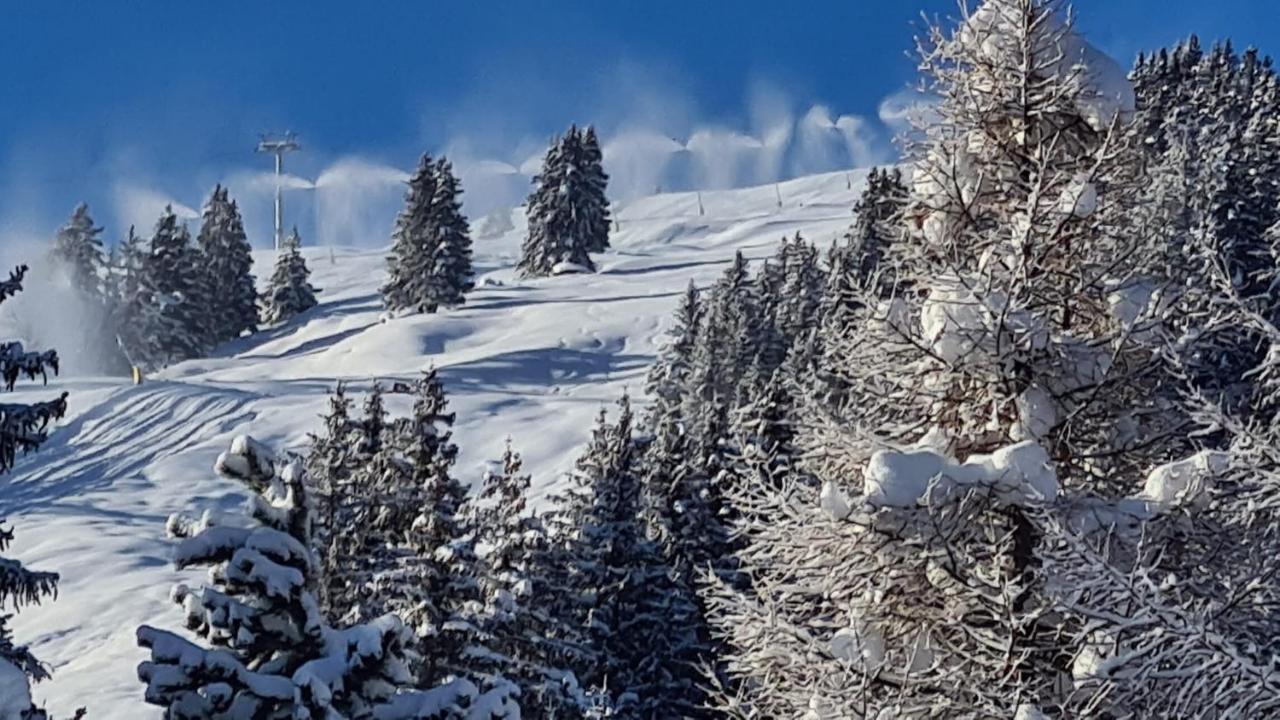 Chalet Wulli In Der Naehe Der Skianlagen サヴォニン エクステリア 写真