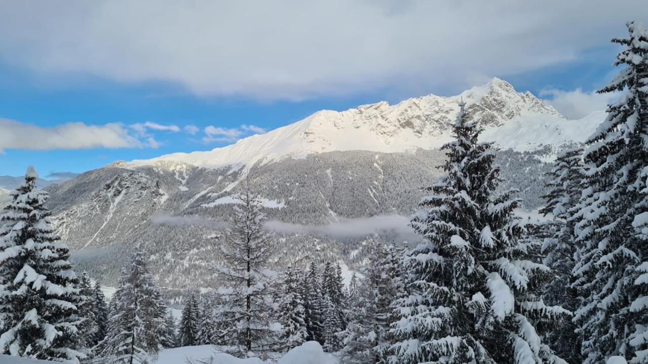 Chalet Wulli In Der Naehe Der Skianlagen サヴォニン エクステリア 写真